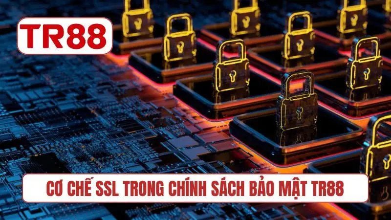 Cơ chế SSL trong chính sách bảo mật TR88